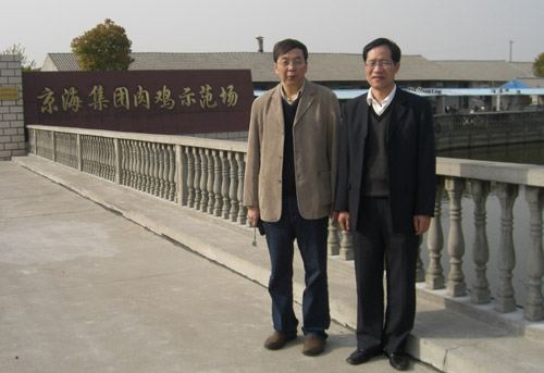 201071282416529