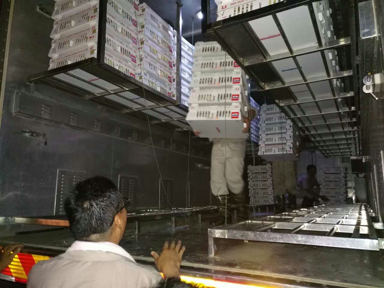 3.jpg 3.jpg